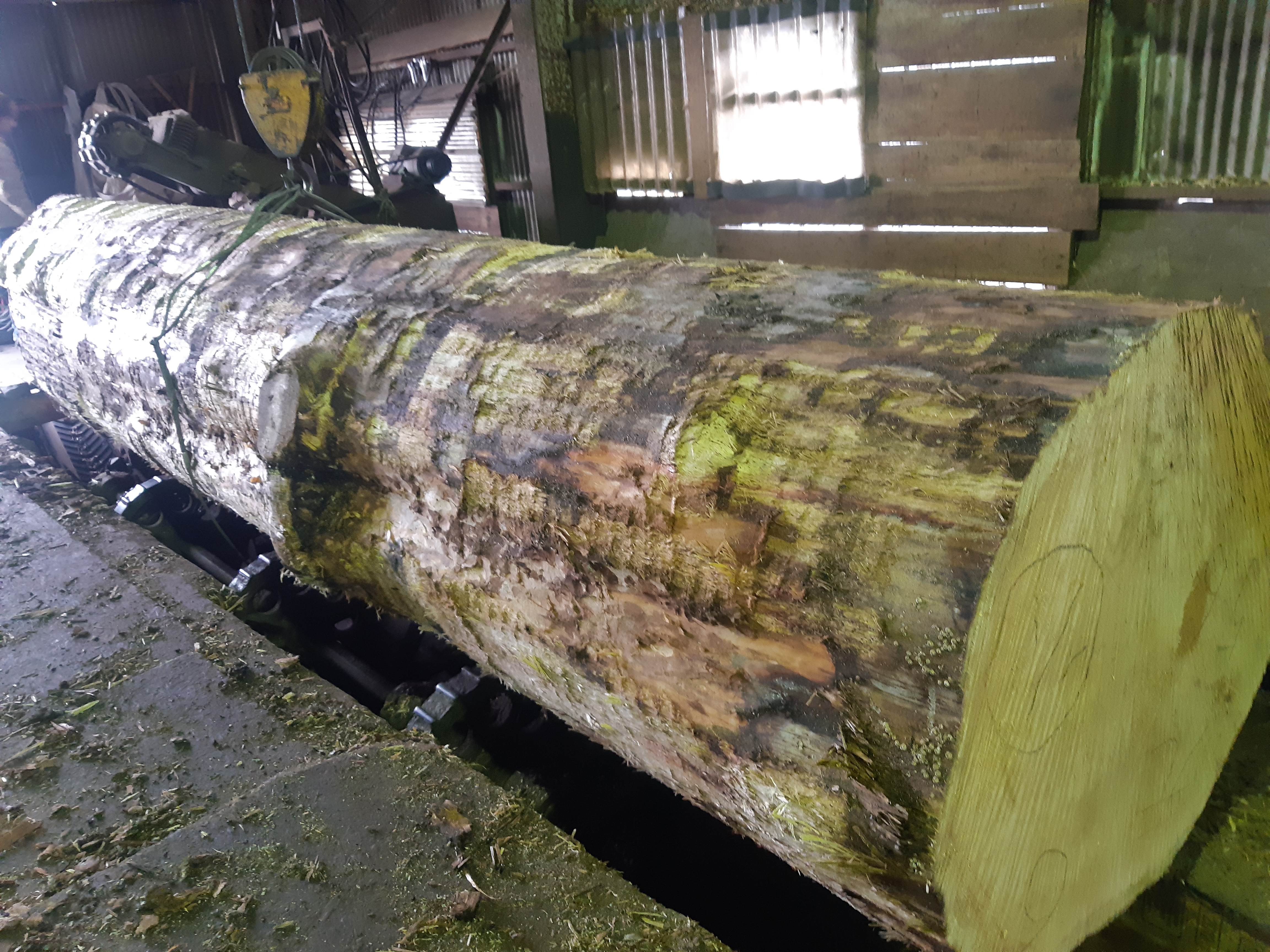 �܂邽����